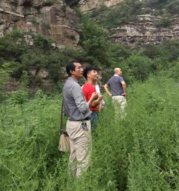 �߽��Σ����󣩎��W(xu��)��Ұ�⌍Ӗ(x��n)