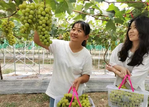 �_ɽ�h��ꖹ�õ�塰�������¸�·����r��(ji��)